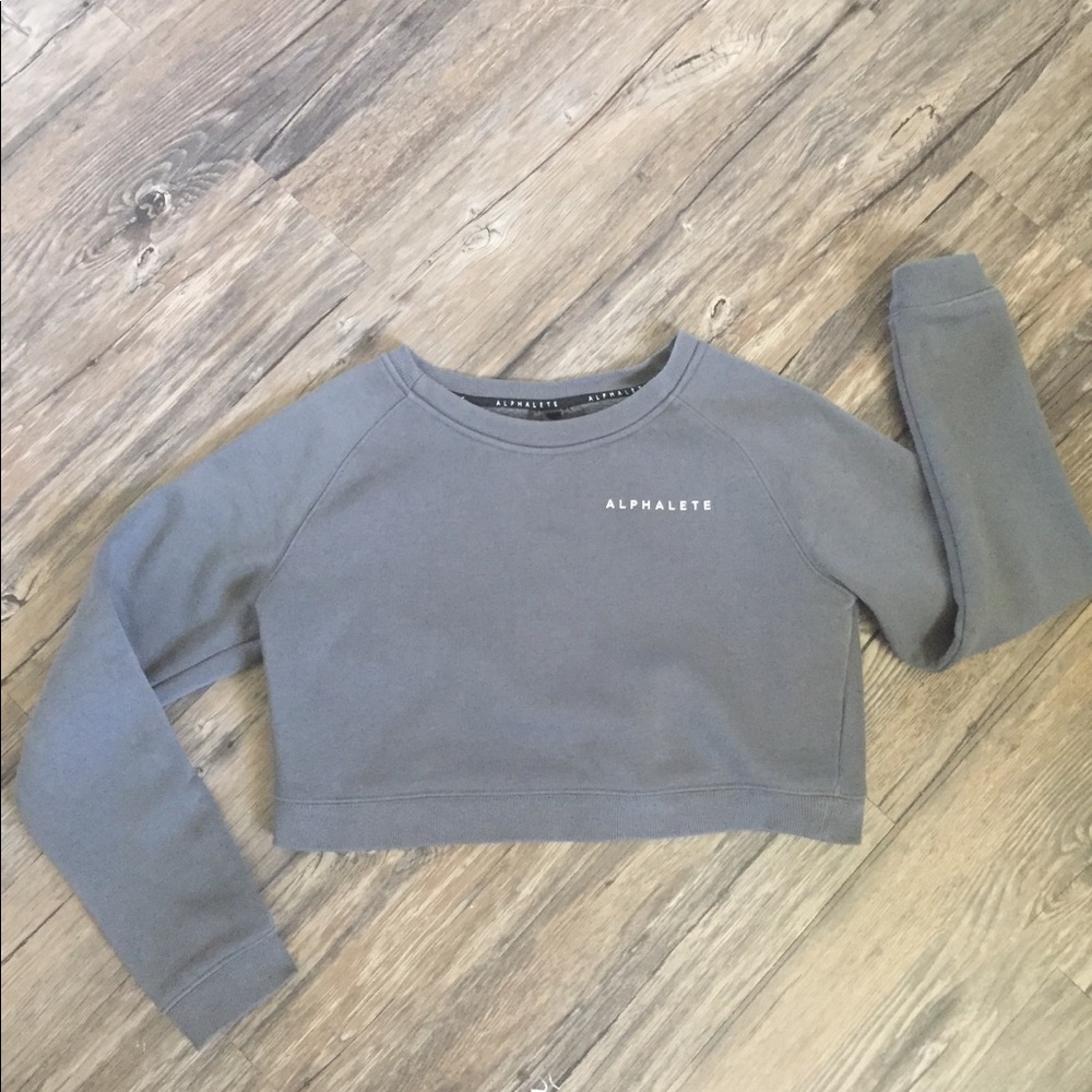 Alphalete Pbns grey crop